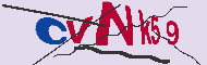 Code Captcha