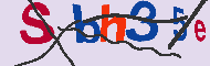 Code Captcha