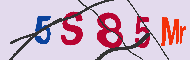 Code Captcha