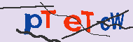 Code Captcha