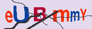 Code Captcha