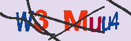 Code Captcha